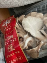 雪国まいたけ まいたけ 極 食べ切りパック 70g