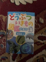 日本パール加工 どうぶついきもの図鑑かるた