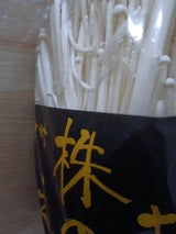 原生林 株えのき奥信州 1P