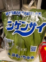 JAあいち チンゲンサイ 2kg