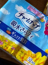 チャームナップ 吸水さらフィロングPL香り 52枚