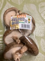 上野村 しいたけ