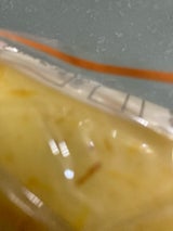 増子 国産食べ切りかつお 1個