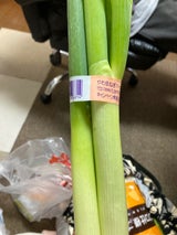 JA新潟 にいがたねぎ