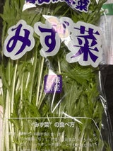 アドバンス みずな 1P