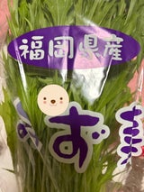 丸善青果 みずな 200g