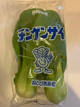 JA静岡 チンゲンサイ