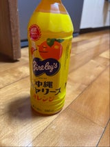 沖縄バヤリース オレンジ PET 500ml