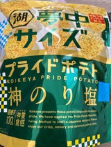 湖池屋 夢中サイズプライドポテト神のり塩 102g