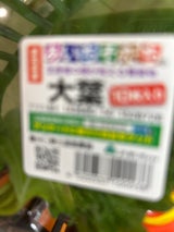 JA東三 大葉 10枚