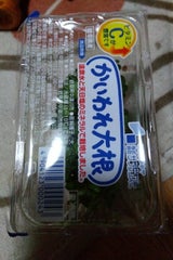 サラダコスモ かいわれポット