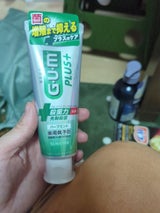 サンスター ガムプラスペースト ハーブM 120g