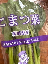 シモジマ やさい 1P