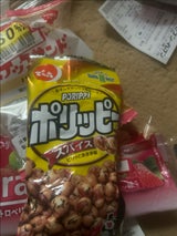 でん六 Eサイズホリッピースパイス 48g