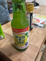 ポッカサッポロ ポッカレモン100 瓶 120ml