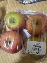 タンダイP サンフジ 4P