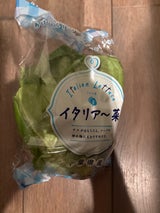 JA千葉 レディサラダ菜