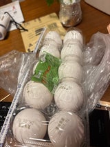 アキタ わかばちゃん 10H