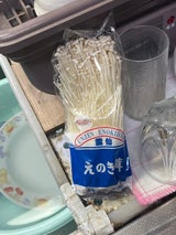 雲仙きのこ えのき茸 100g