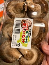 戸川 生しいたけ国内産 100g
