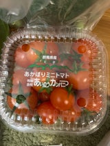 ベル春日井 あかぎミニトマト