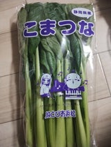 JA静岡 小松菜 200g