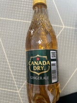 カナダドライ ジンジャーエール PET 500ml