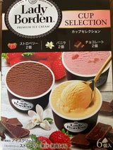 ロッテ レディーボーデンマルチカップS 450ml