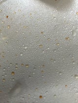 モリボン パウンドケーキフルーツ 1P