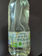コカコーラ いろはすシャインマスカット 540ml