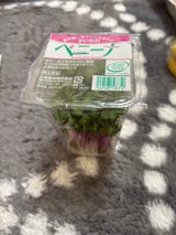 三和農林 ベニーナ 60g