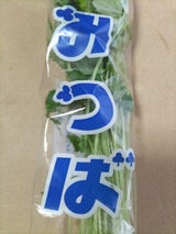 JAあいち 水耕みつば 75g