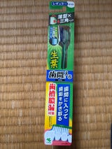 小林製薬 生葉歯間に入るブラシレギュラーふつう1本