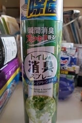 NID トイレの消臭スプレーFグリーン 330ml