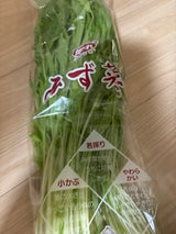 JA全農いばらき みず菜 150g