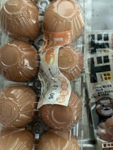 ホクリョウ 白たまご L 10個