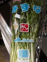JA福岡 水菜