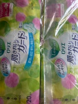 ロリエ 肌きれいガードふつうの用羽つき 20個×2