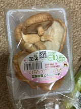 ひかり ふくふくしいたけ 70g