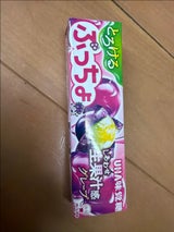味覚糖 ぷっちょスティックぶどう 10粒