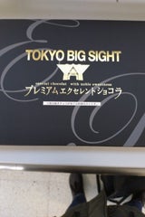 豊上 プレミアムエクセレントショコラ 大 20個