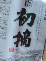 佐藤海苔 有明海産焼海苔 初摘 全型 10枚