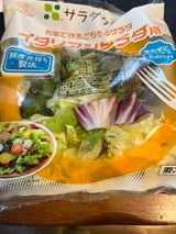 サラダクラブ お家でごちそうイタリアン 100g