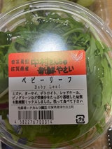 ナカムラ園芸 ベビーリーフ