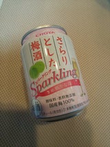 蝶矢 さらりとした梅酒 微炭酸 缶 250ml