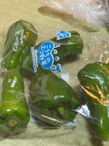 高知県園芸連 エコ栽培登録ピーマン 150g