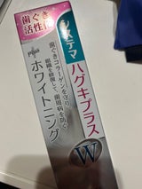 ライオン システマ ハグキプラスWハミガキ 95g