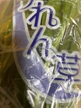 アドバンス 茨城産ほうれんそう 1P