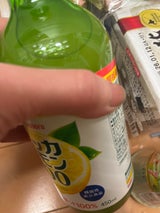 ポッカサッポロ ポッカレモン100 瓶 450ml