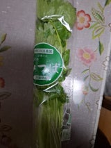 JAいしのまき 水耕みつば 60g